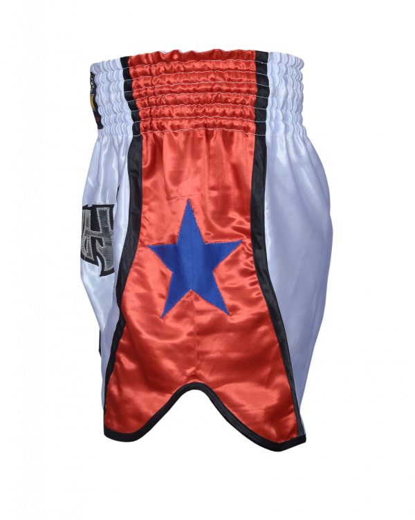 New Professional Classic Muay Thai Short, Thai Boxing Pants - Image 2