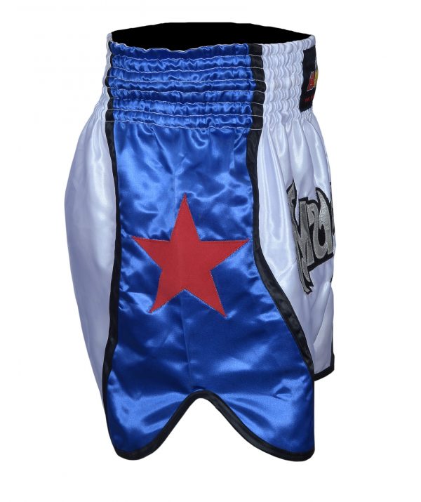 New Professional Classic Muay Thai Short, Thai Boxing Pants - Image 3