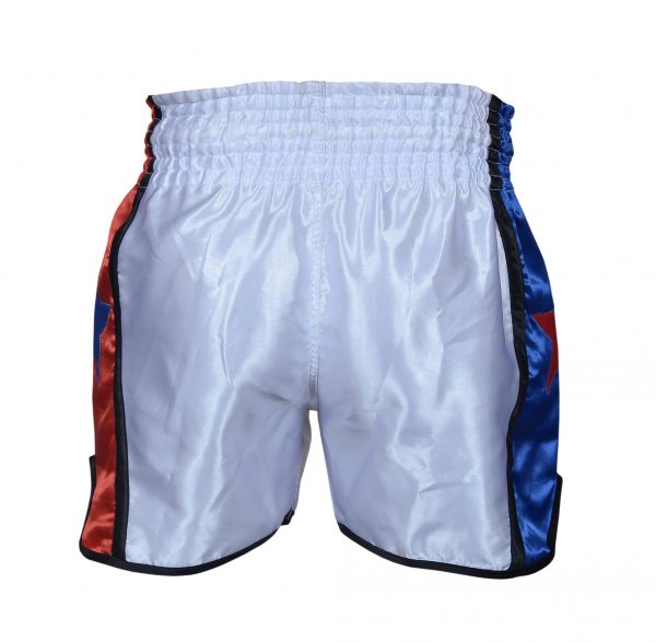 New Professional Classic Muay Thai Short, Thai Boxing Pants - Image 4