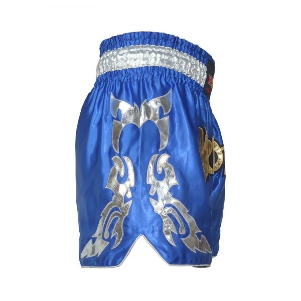 Neue Muay Thai Shorts, MMA Warriors Shorts, Marke Hawk – Bild 3