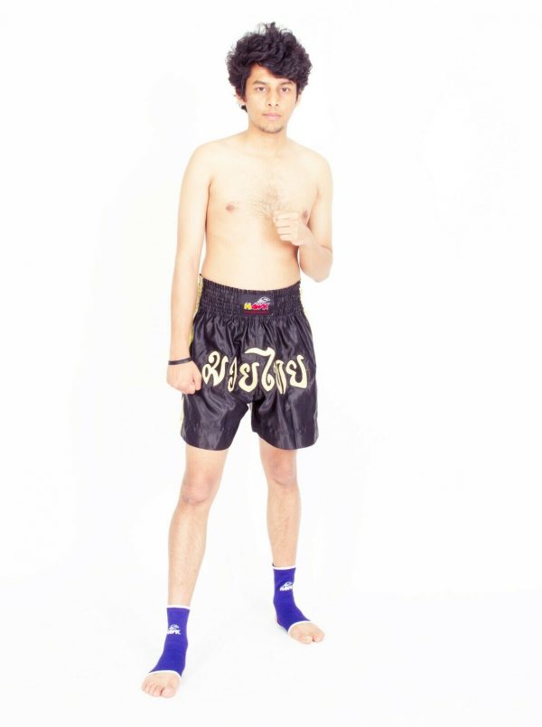 Muay Thai pants, boxing pants, Thai boxing shorts, premium quality, brand Hawk ®